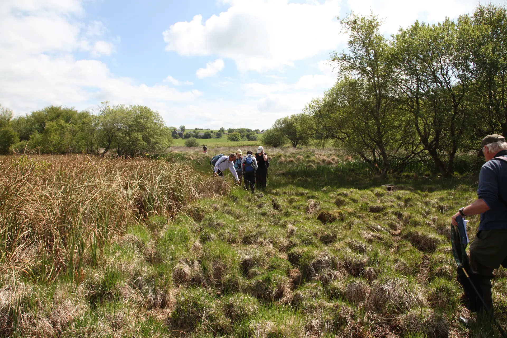 Cors Geirch NNR